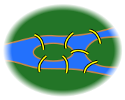 K&ouml;nigsberg